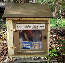 Little Free Library - Tucked in Guernewood Park Neighborhood